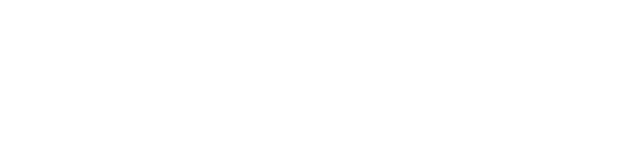 ONYX Smart Technologies